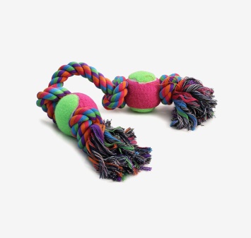 Huhn & Gerste Vorspeise