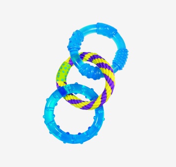 Gebratene Ente in Soße