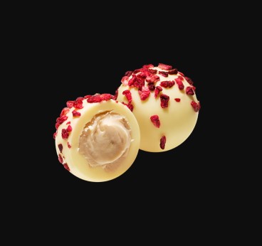 سترة بطباعة الطائر الطنان