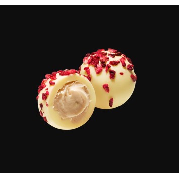 Pullover mit Kolibri-Print