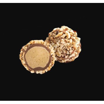 Hummingbird printed sweater