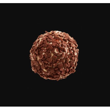 البندق السماء