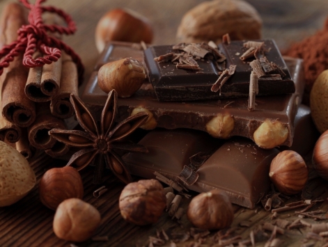 5 principios simples de UX