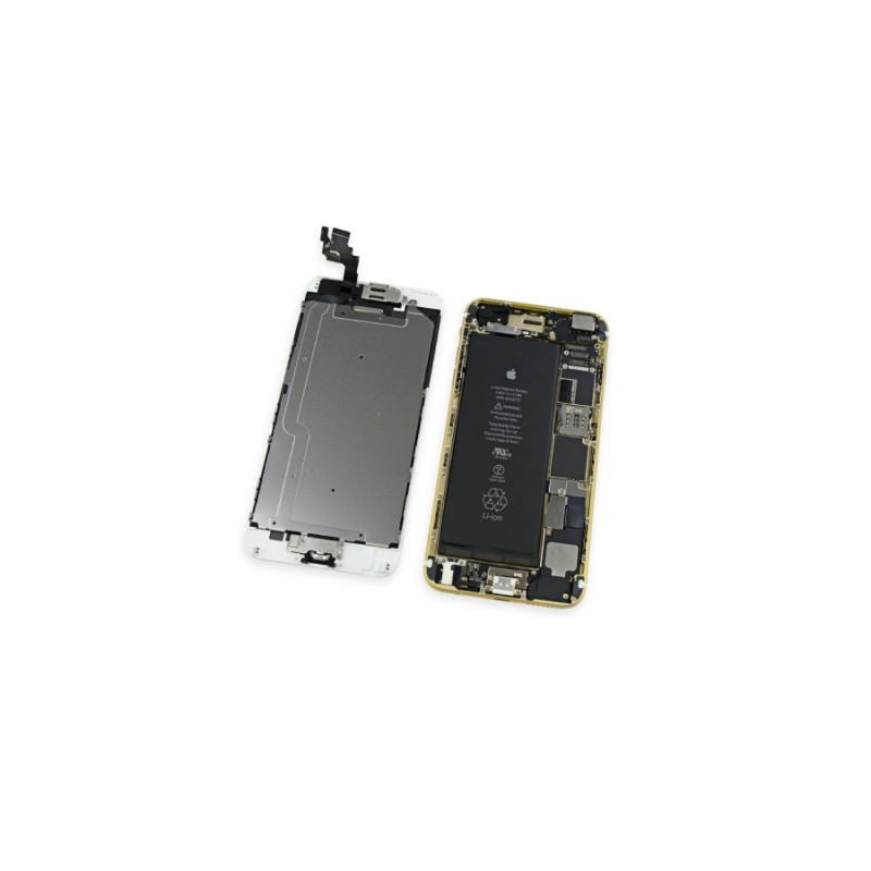 iPhone 6 teardown reveals