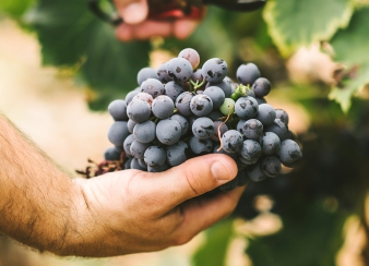 Typography in Design Systems