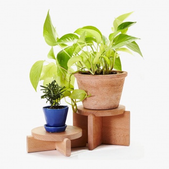 Support pour plantes en échelle