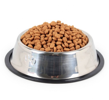Dog Food Bowl