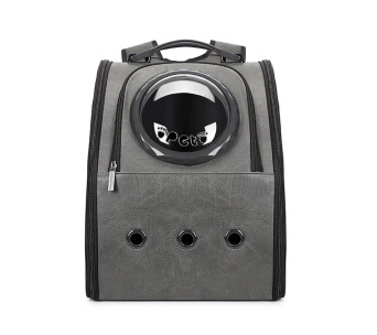 Gatto in pelle di città