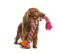 Идеи игрушек для собак своими руками - Petfinder