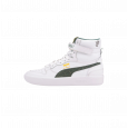 Scarabocchio Puma
