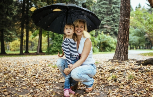 UI Design Principles