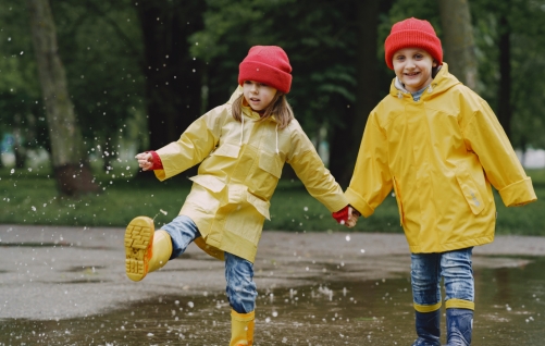 The Principles of Design